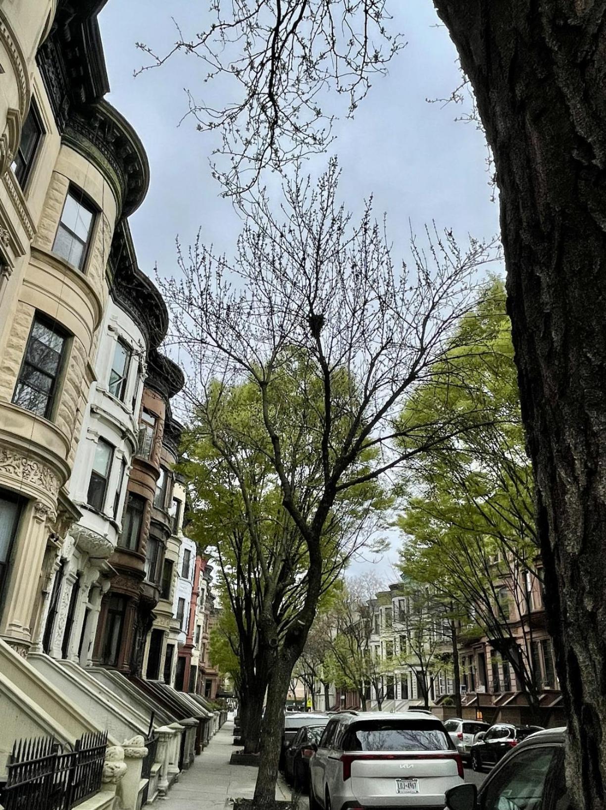 Nyc Townhouse Apartment New York Eksteriør billede